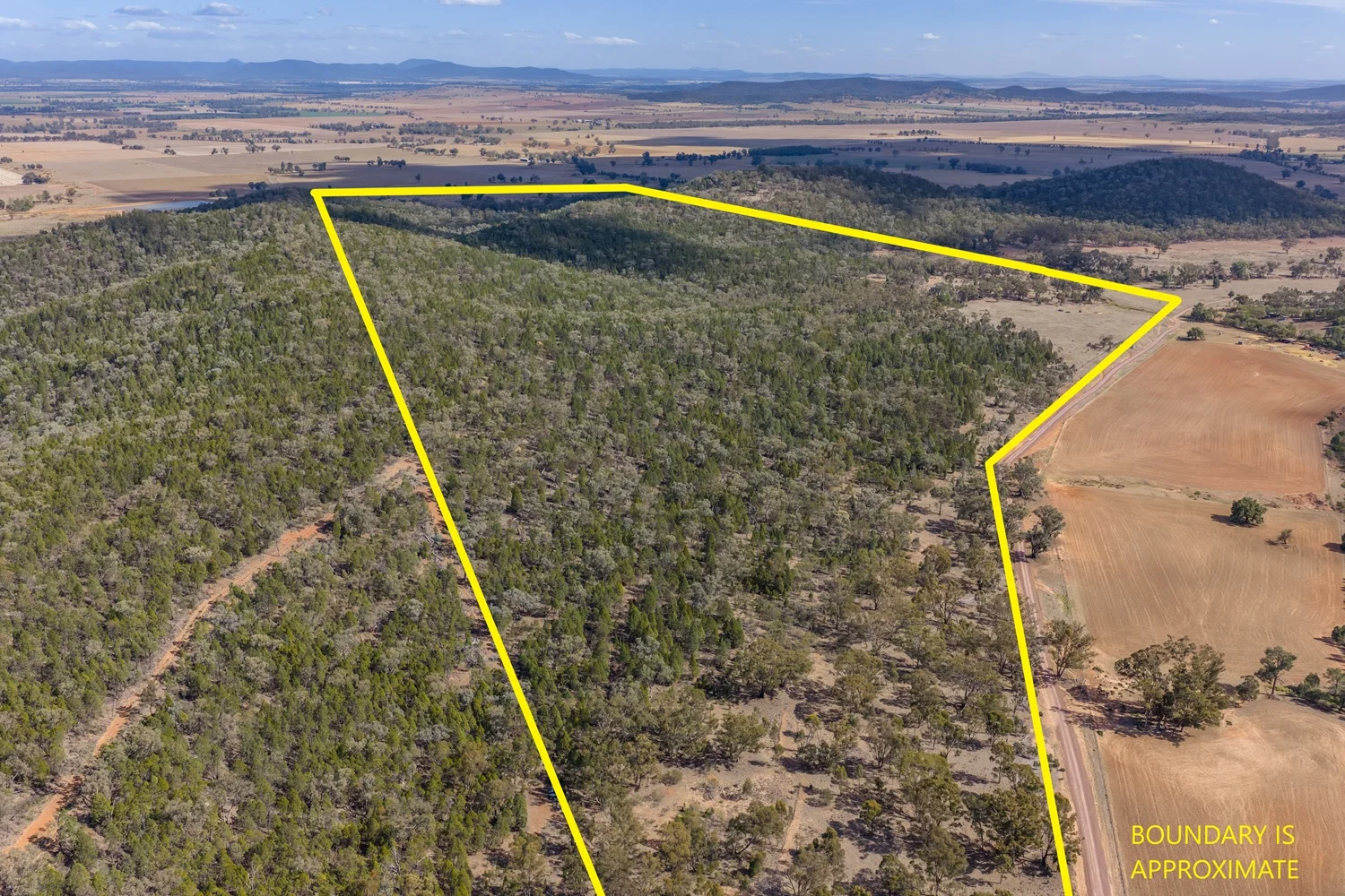 Additional image 34 of 3705 Nanami Lane, Canowindra NSW 2804