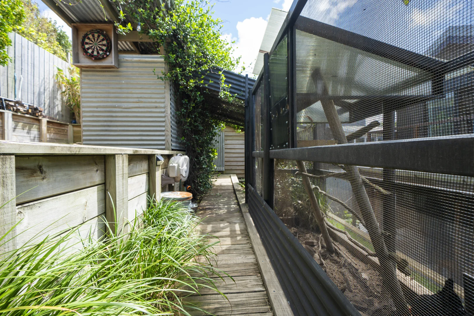 Additional image 35 of 11 Bertya Place, Point Arkwright QLD 4573