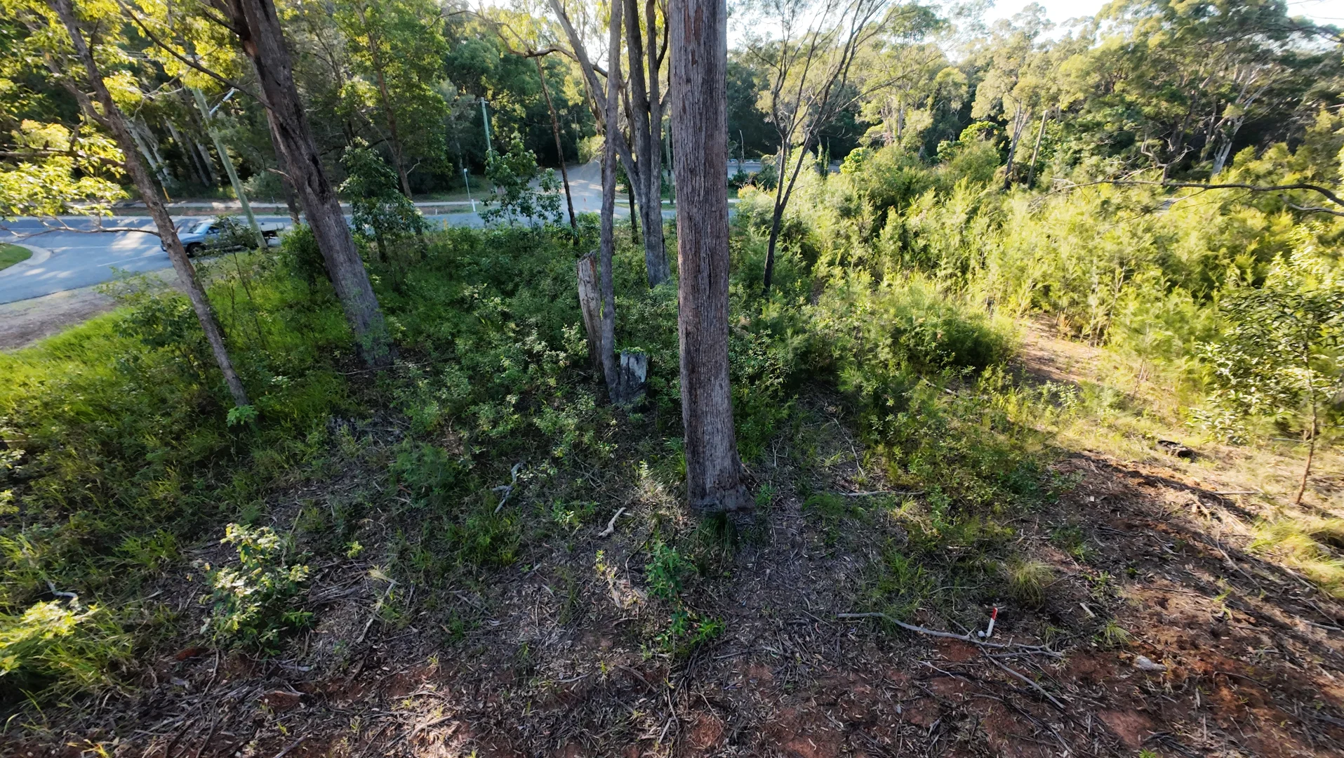 Additional image 10 of 2 Waratah St, Russell Island QLD 4184