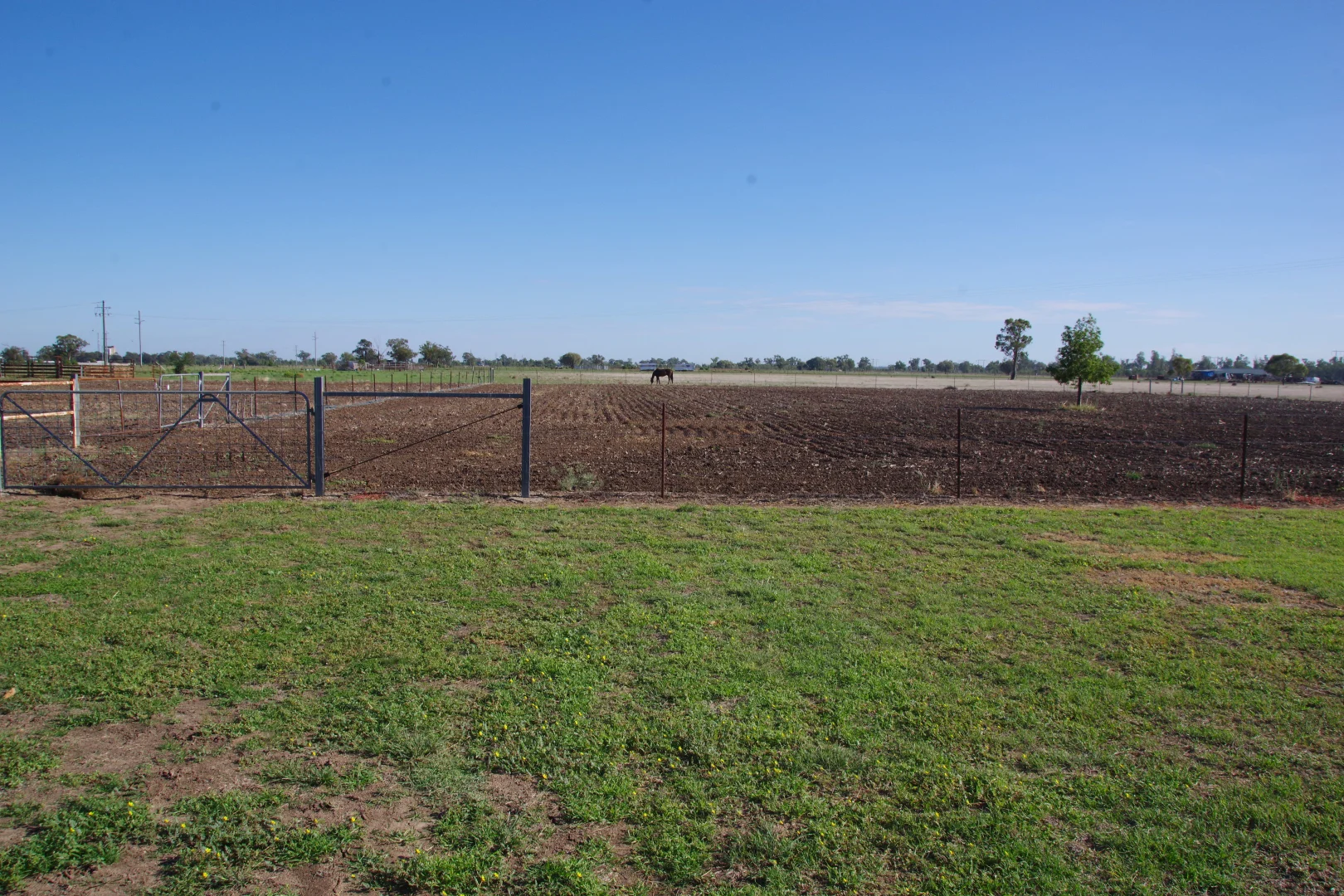 Additional image 28 of 163 Old Gunnedah Road, Narrabri NSW 2390