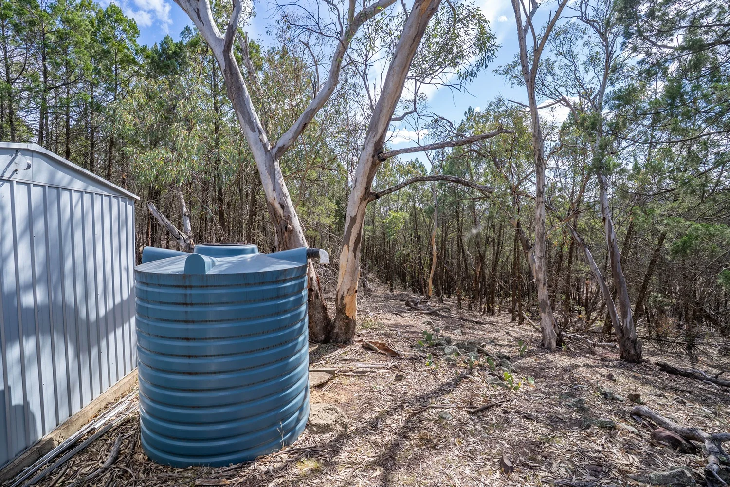 Additional image 15 of 3705 Nanami Lane, Canowindra NSW 2804