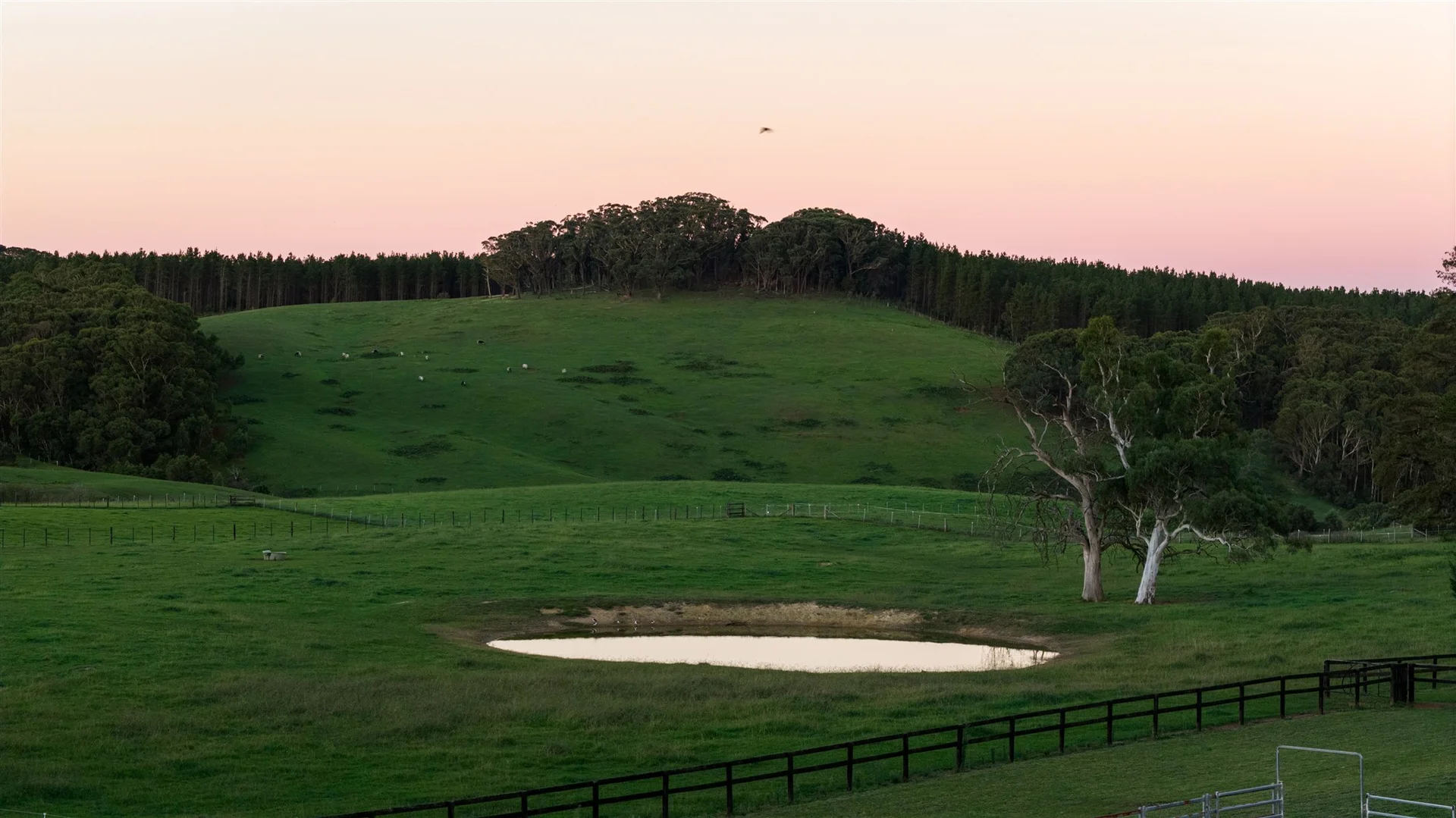 Additional image 14 of 464 Bumballa Road, Tallong NSW 2579