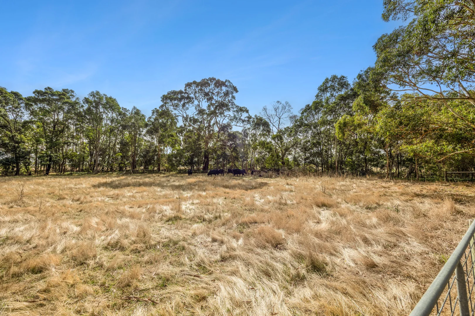 Additional image 4 of 30 Gannons Road, Pennyroyal VIC 3235