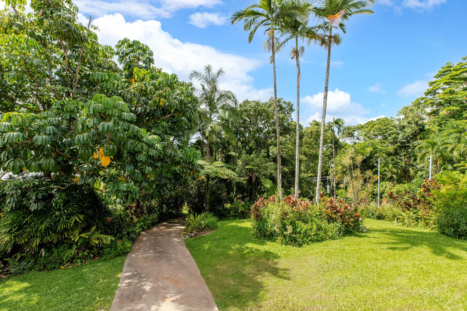 Additional image 11 of 7 Coral Sea Drive, Mossman Gorge QLD 4873