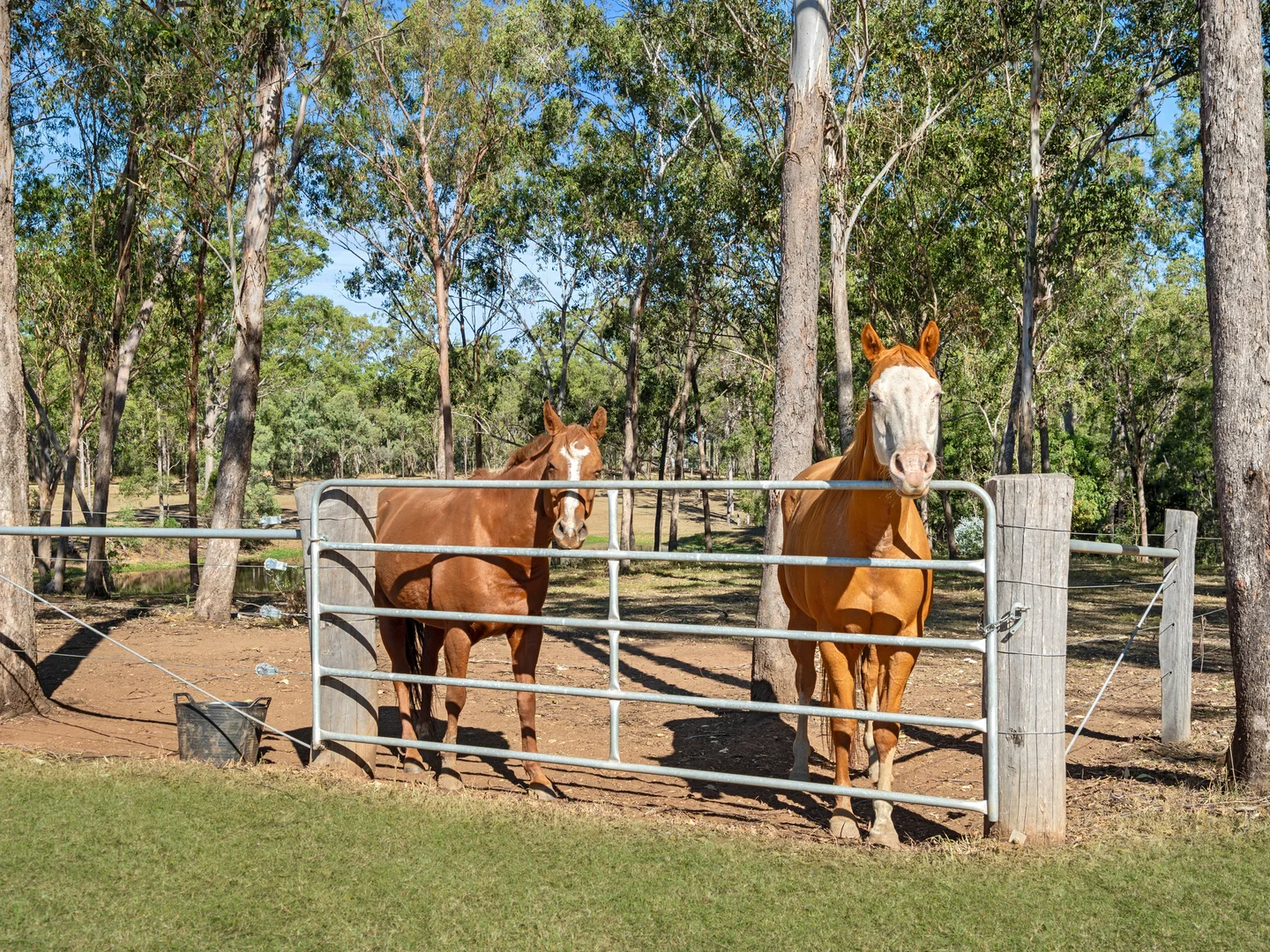 Additional image 32 of 55 Norfolk Road, Summerholm QLD 4341