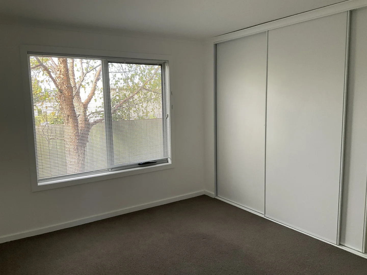 Additional image 12 of 9 Barnett Close, Binalong Bay TAS 7216
