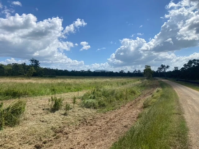 Additional image 5 of Lot 21 Exmoor Road, Bloomsbury QLD 4799