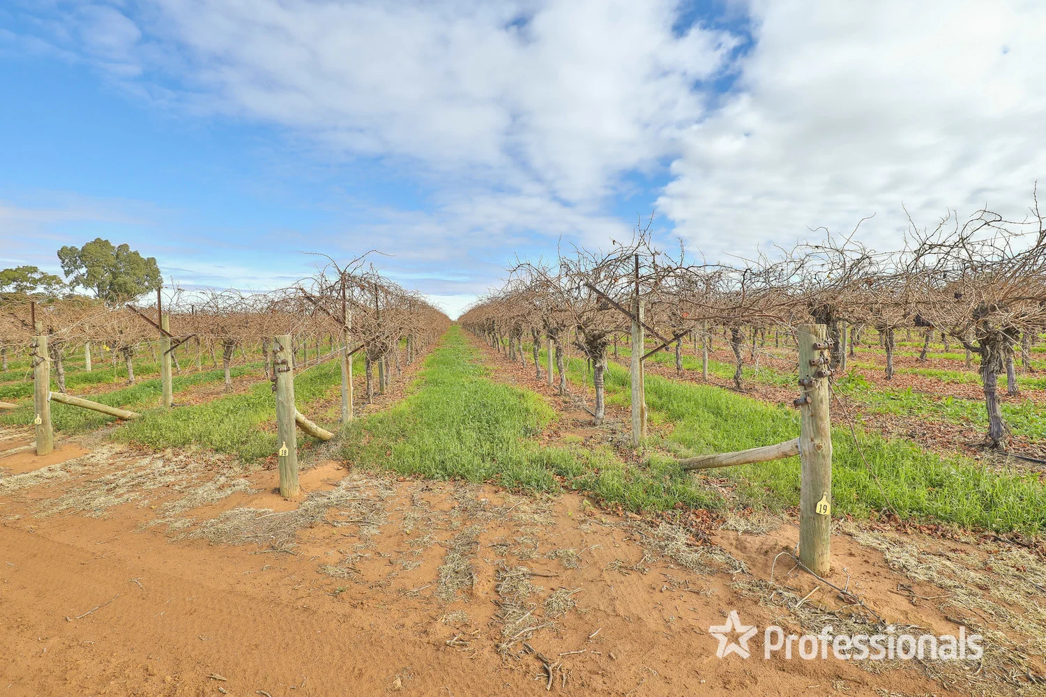 Additional image 5 of 248 Sunnycliffs Crescent, Red Cliffs VIC 3496