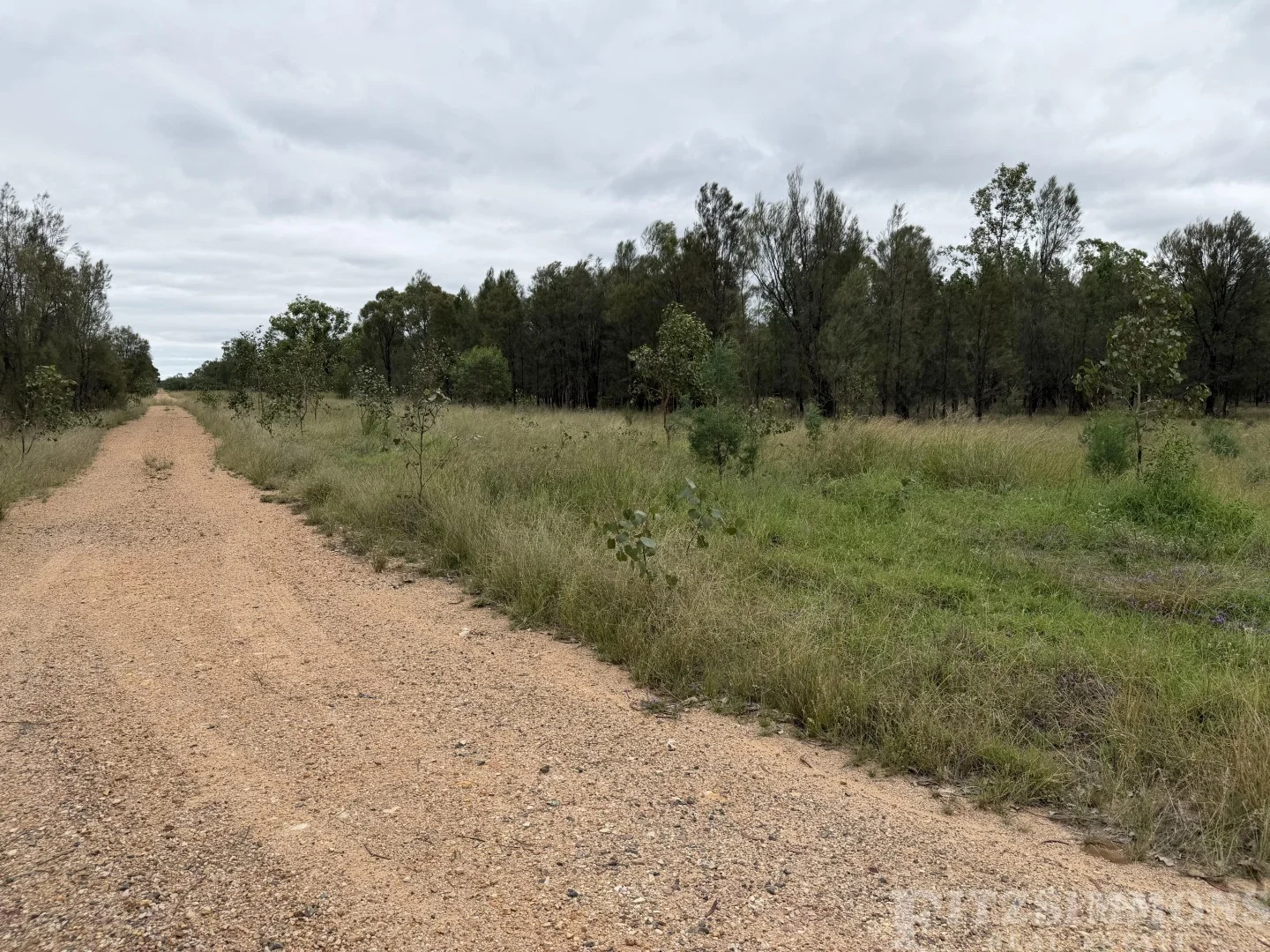Additional image 2 of Ducklo QLD 4405
