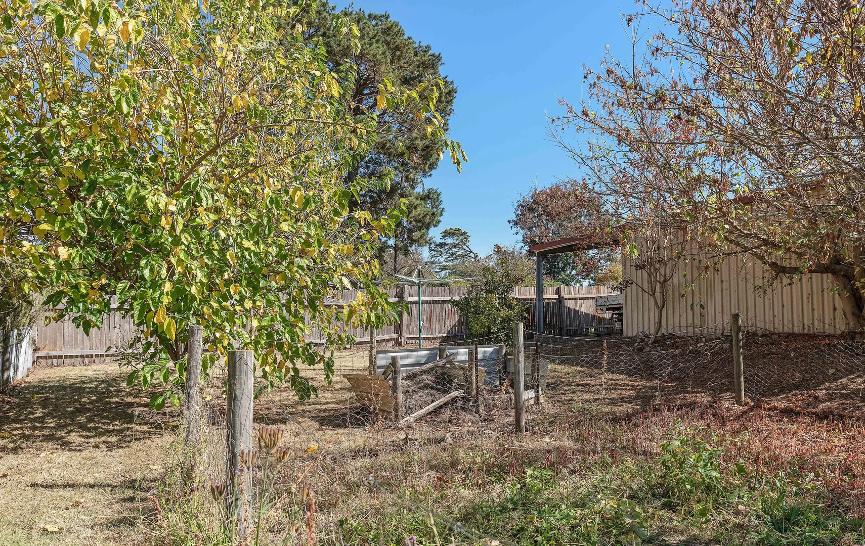 Additional image 19 of 105 Cowper Street, Tenterfield NSW 2372