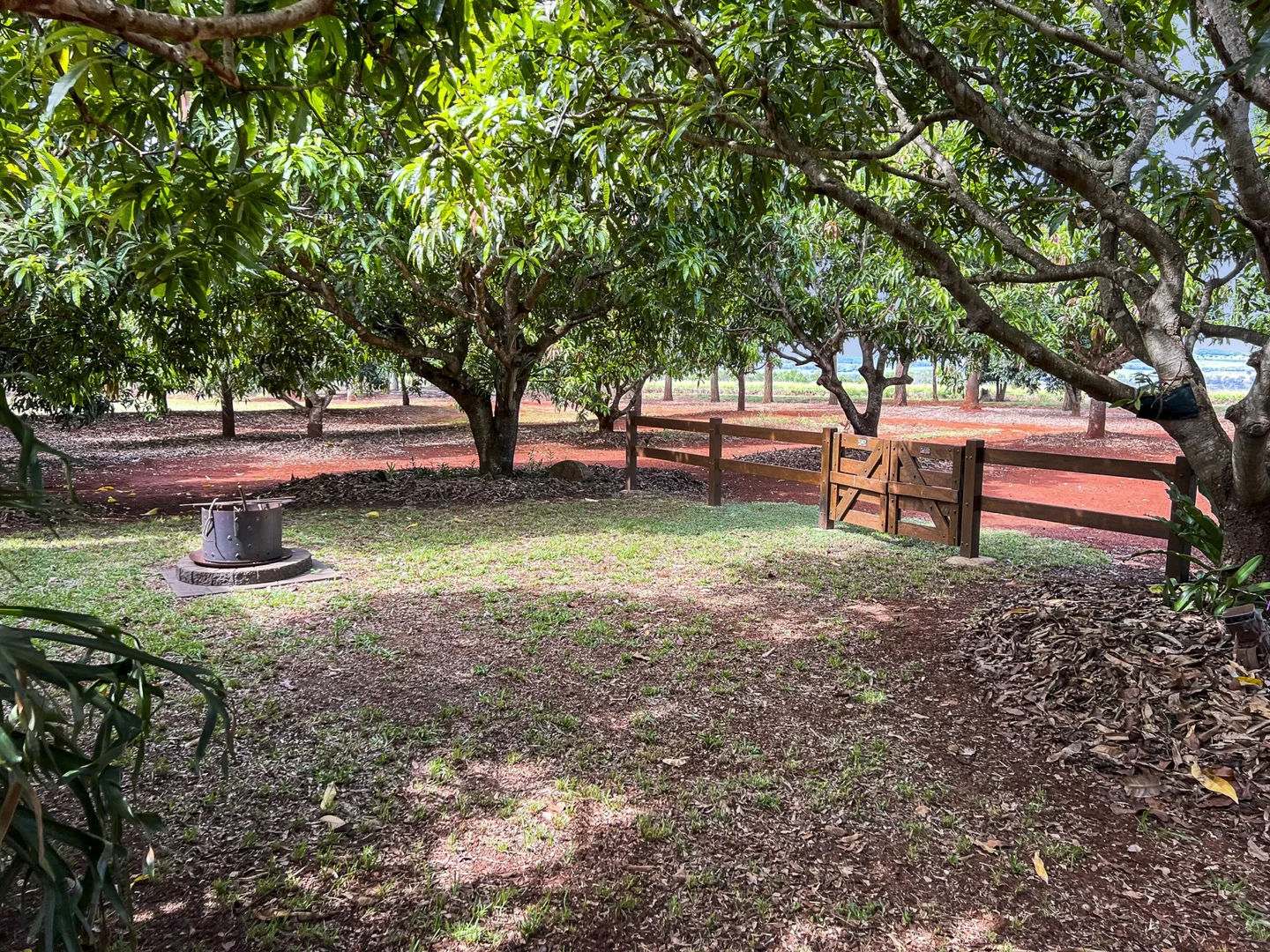 Additional image 16 of Lot 2 Birds Road, Tingoora QLD 4608