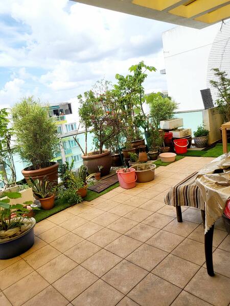 59 Choa Chu Kang Loop