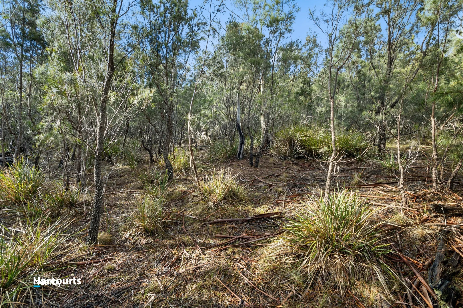Additional image 12 of Lot 2 Scarrs Road, Garden Island Creek TAS 7112