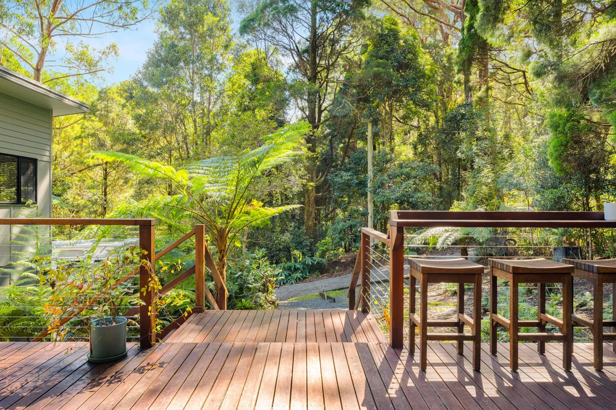 Additional image 13 of 8 Banksia Road, Springbrook QLD 4213
