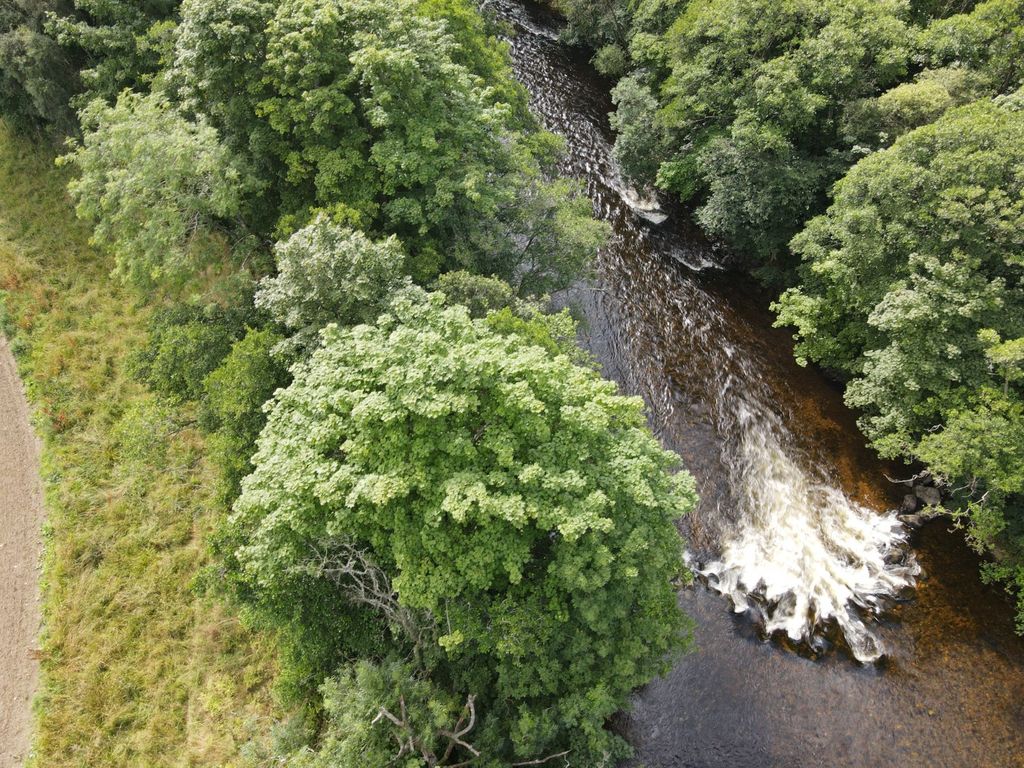 Additional image 2 of Land for saleRiver South Esk, Finavon, Angus DD8