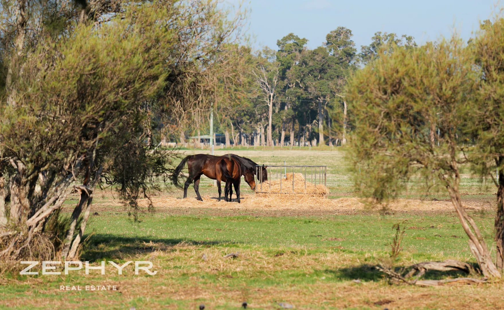 Additional image 13 of 315 Penn Street, Boyanup WA 6237