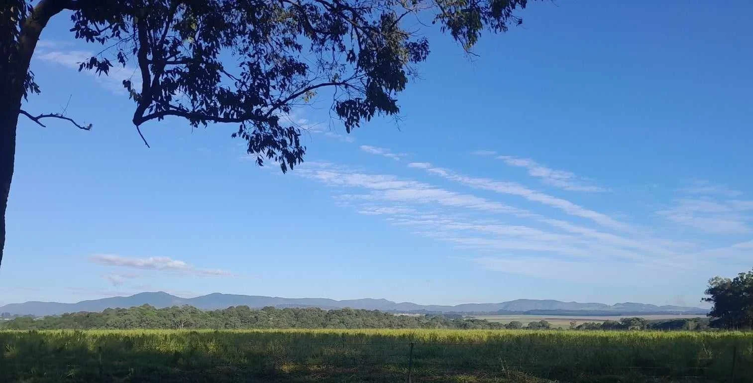 Lot 12 Pinnacle Pocket Road, East Barron QLD 4883