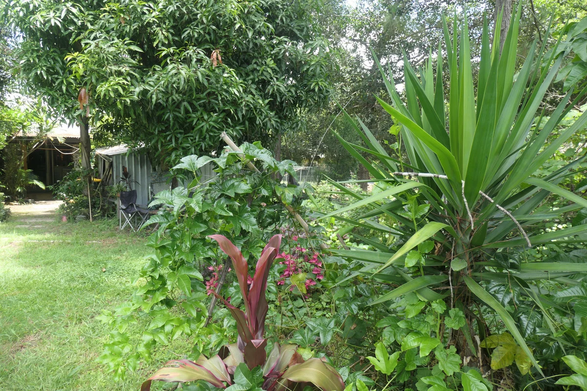 Additional image 6 of 18 Clarence Street, Bonalbo NSW 2469