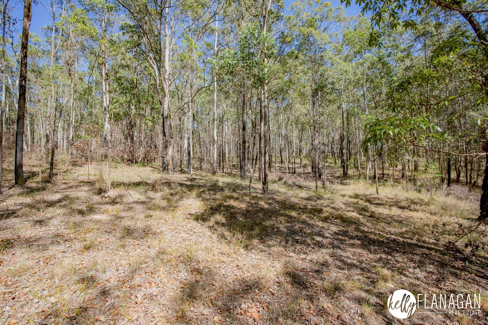 Additional image 3 of 65 Temagog Road, Temagog NSW 2440