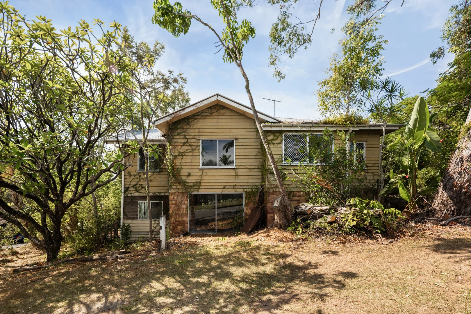 81 McCaul Street, Taringa QLD 4068 photo 3