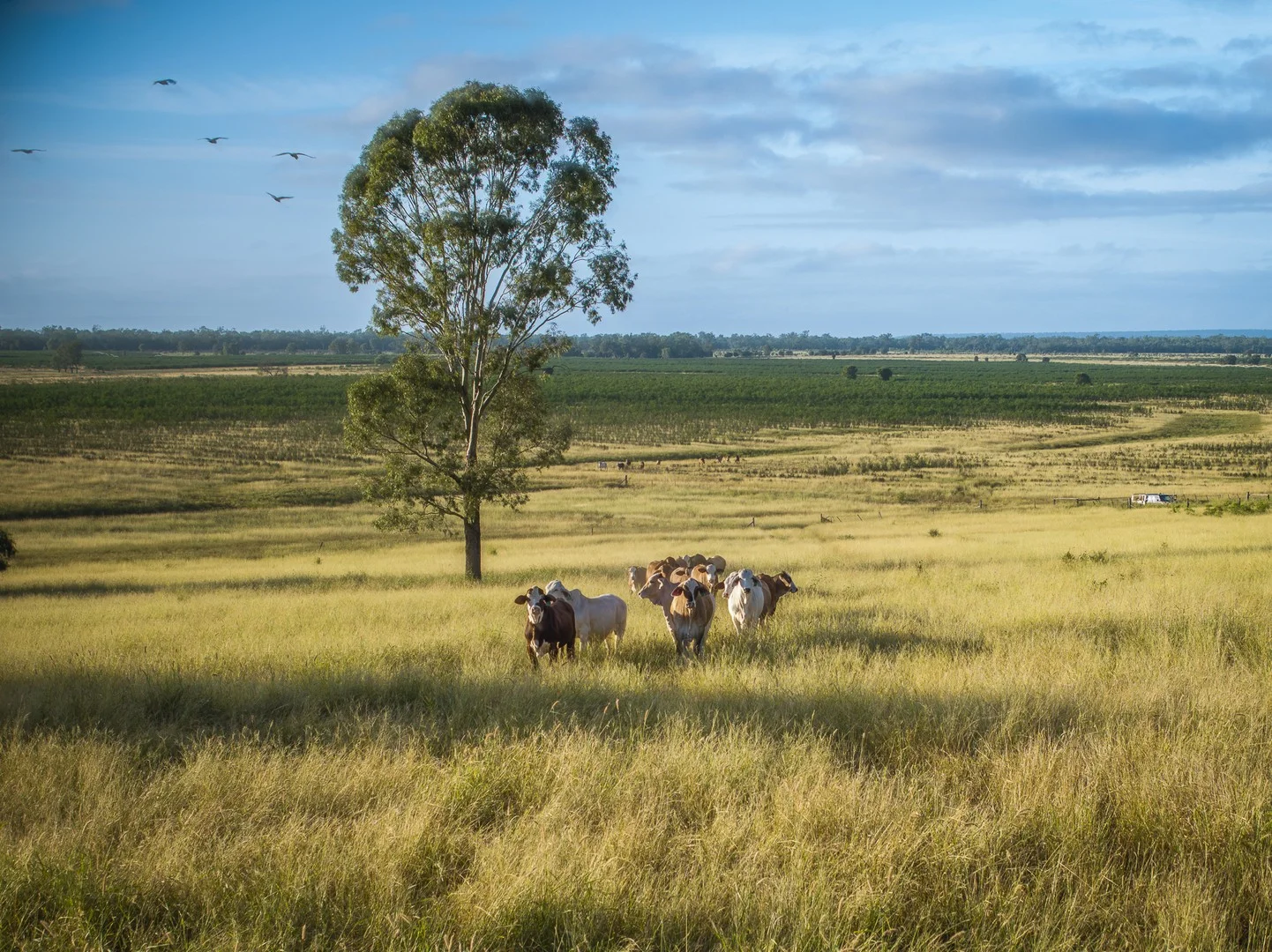 Additional image 3 of 1727 Boombah Road, Mackenzie QLD 4702