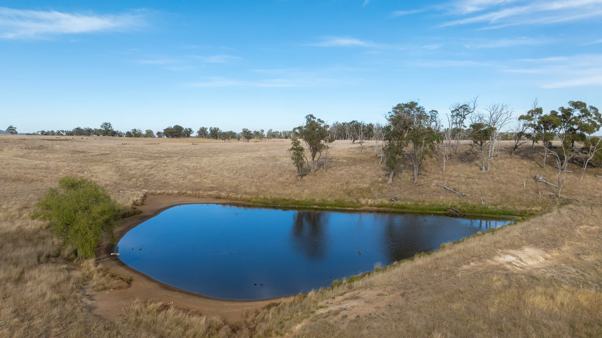 Additional image 15 of "Rose Valley" 379 Toms Gully Road, Black Mountain NSW 2365