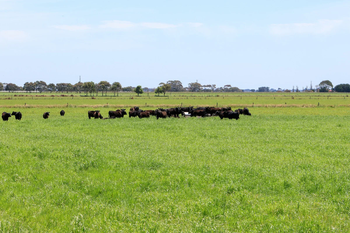 Additional image 27 of 'Mount View' Occupation Lane, Panmure VIC 3265