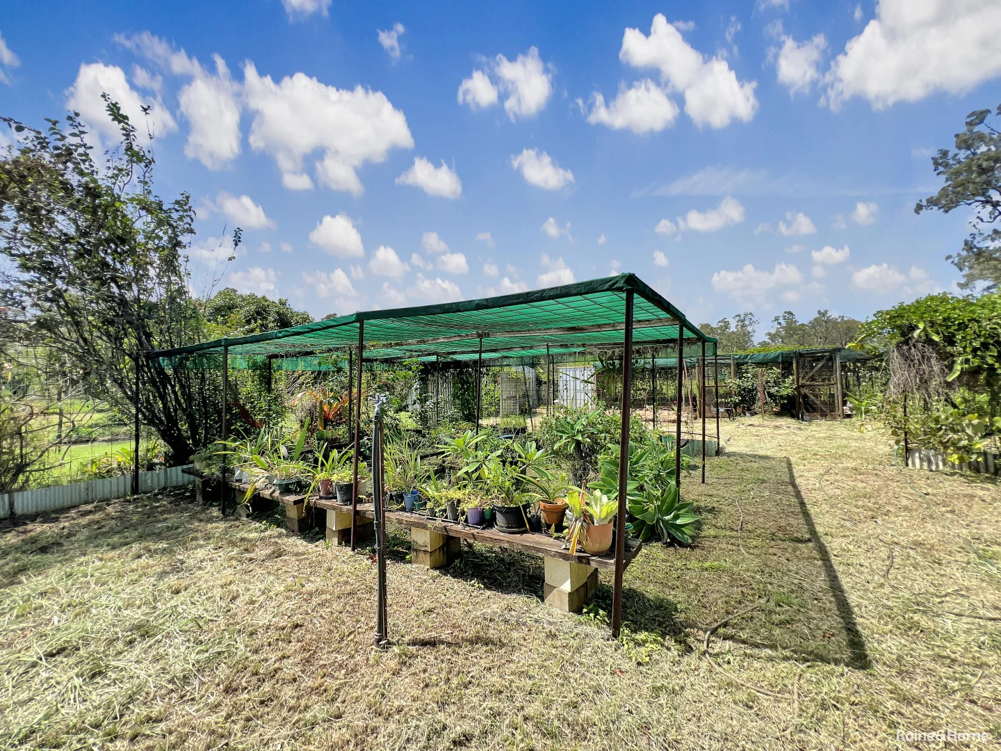 Additional image 17 of 31 Blue Gum Road, Millstream QLD 4888