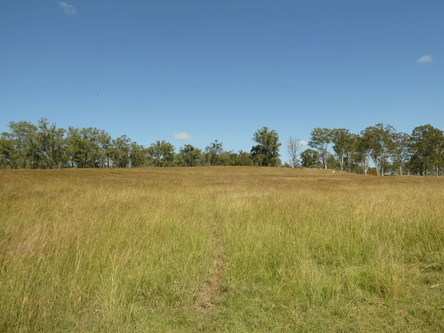 Additional image 6 of Lot 31 Brooweena Woolooga Road, Teebar QLD 4620