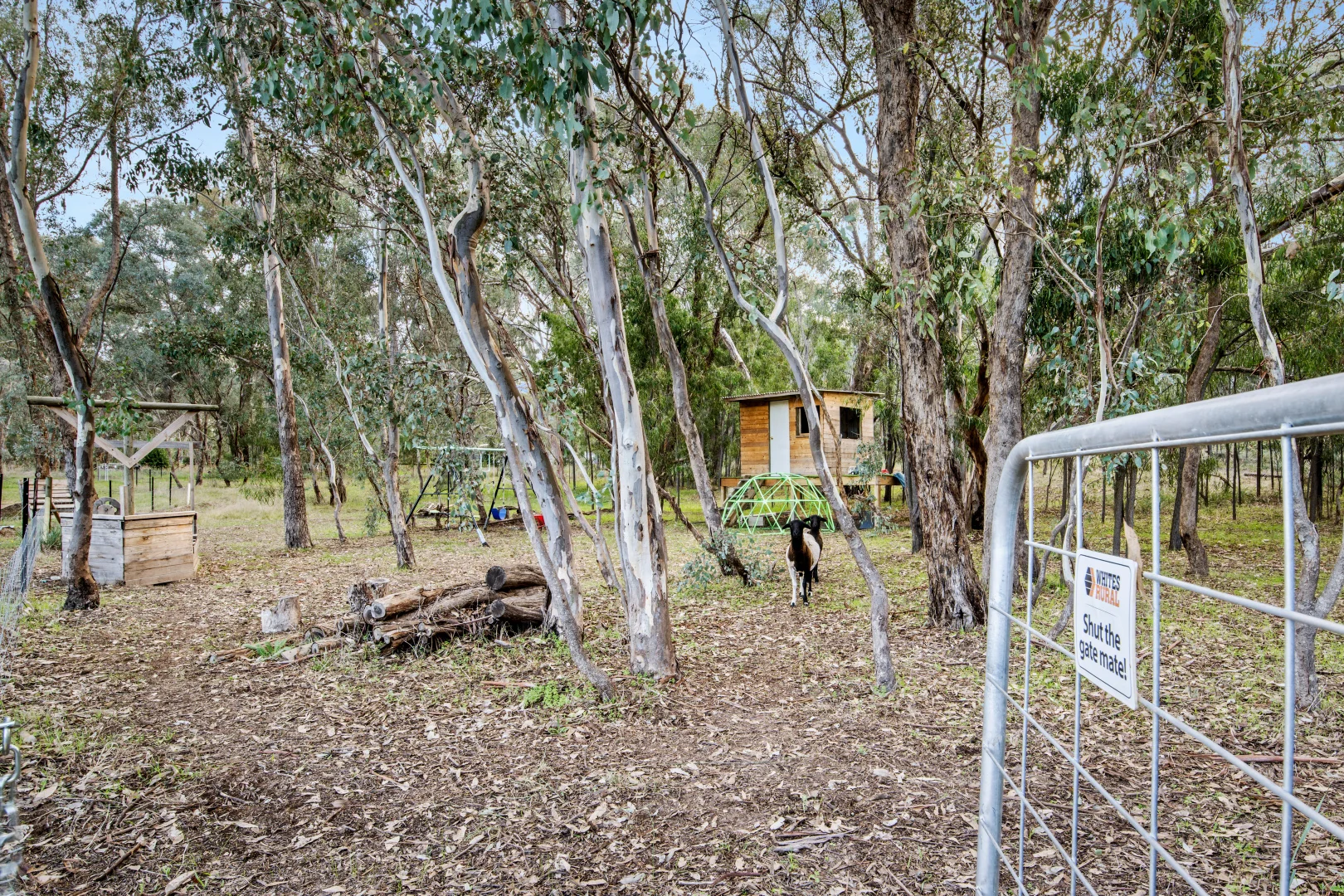 Additional image 15 of 1685 Gerogery Road, Gerogery NSW 2642