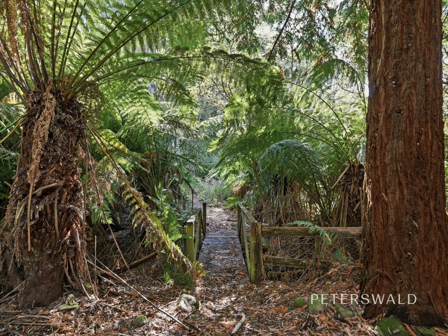Additional image 27 of 146 Fairy Glen Road, Collinsvale TAS 7012