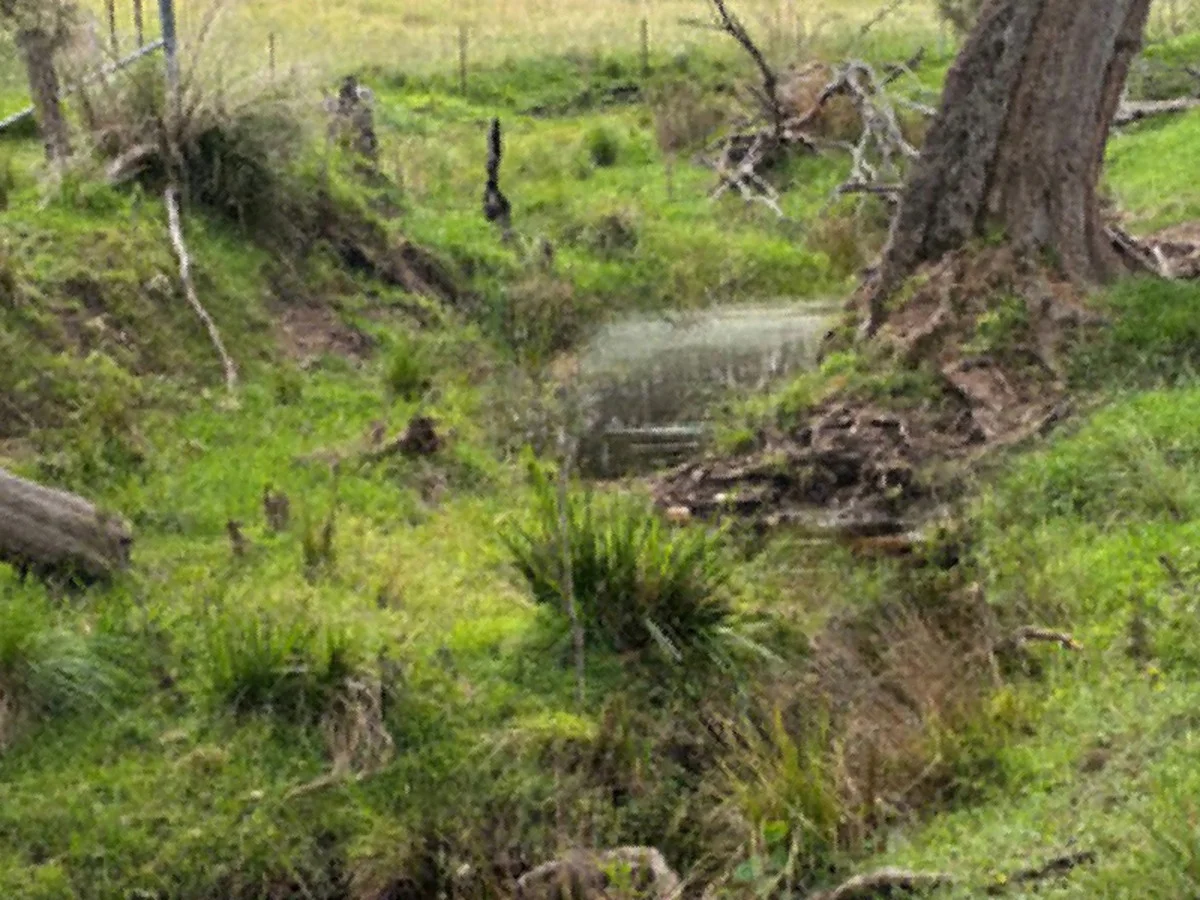 Additional image 13 of 46 Jersey Place, Cobargo NSW 2550