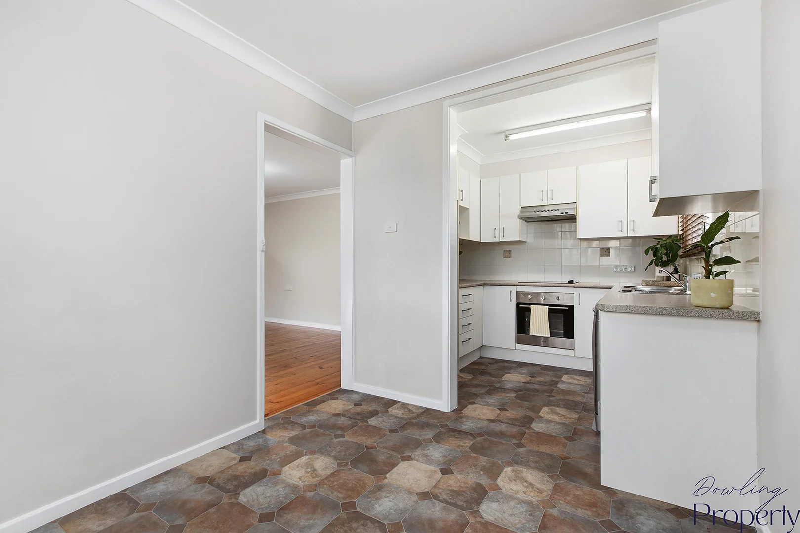 Additional image 4 of 19 Greenway Ave, Woodberry NSW 2322