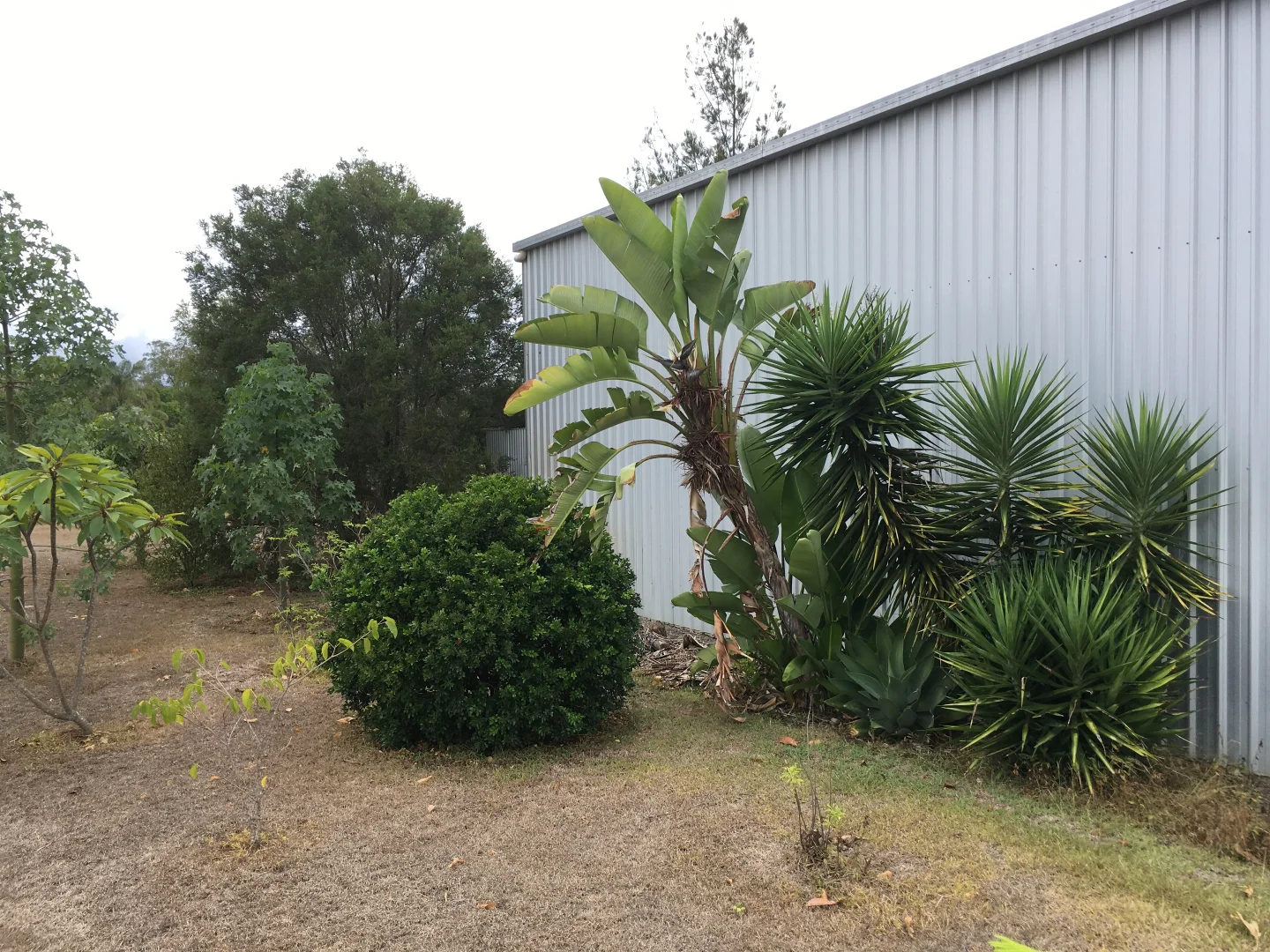 Additional image 10 of 53 Edward St, Biggenden QLD 4621