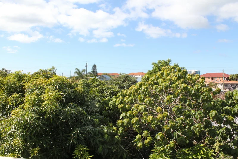 Additional image 7 of 12/13d Wyndham Ave, Southport QLD 4215