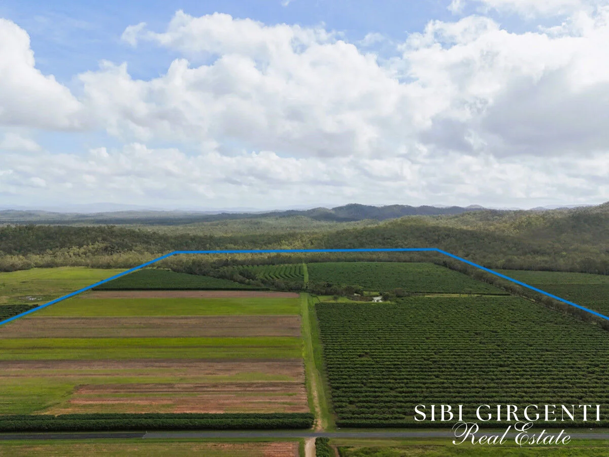 Additional image 5 of 262 Gilmore Road, Mareeba QLD 4880