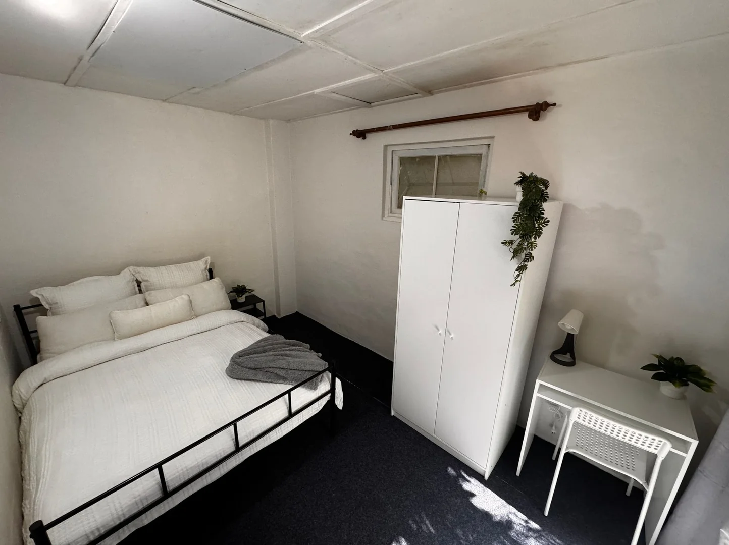 59 Parramatta Rd, Annandale NSW 2038 photo 2