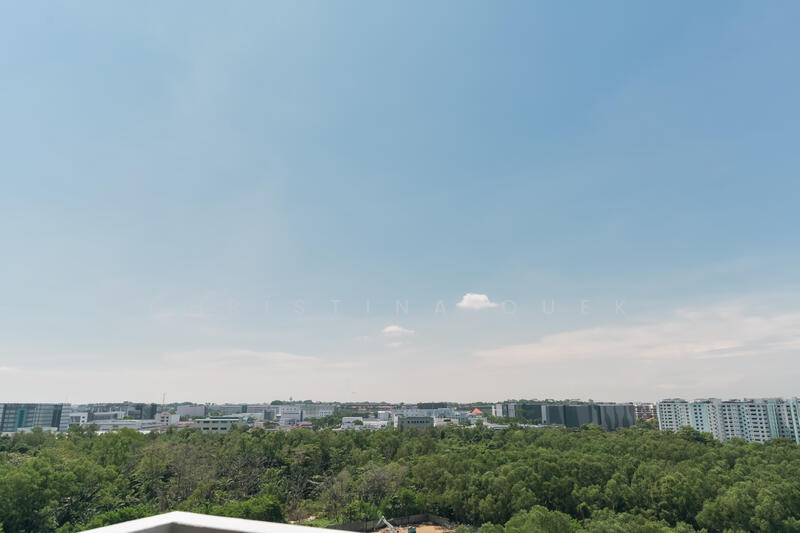 16 Pasir Ris Link photo 3