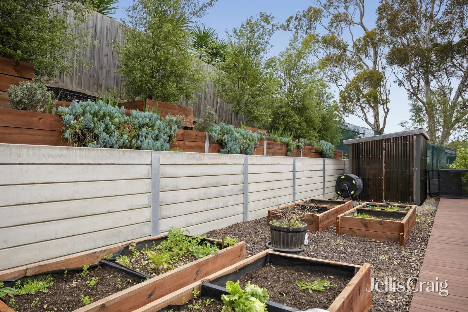Additional image 12 of 49 Outlook Drive, Chirnside Park VIC 3116