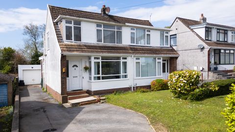 Goetre Fawr Road, Swansea SA2
