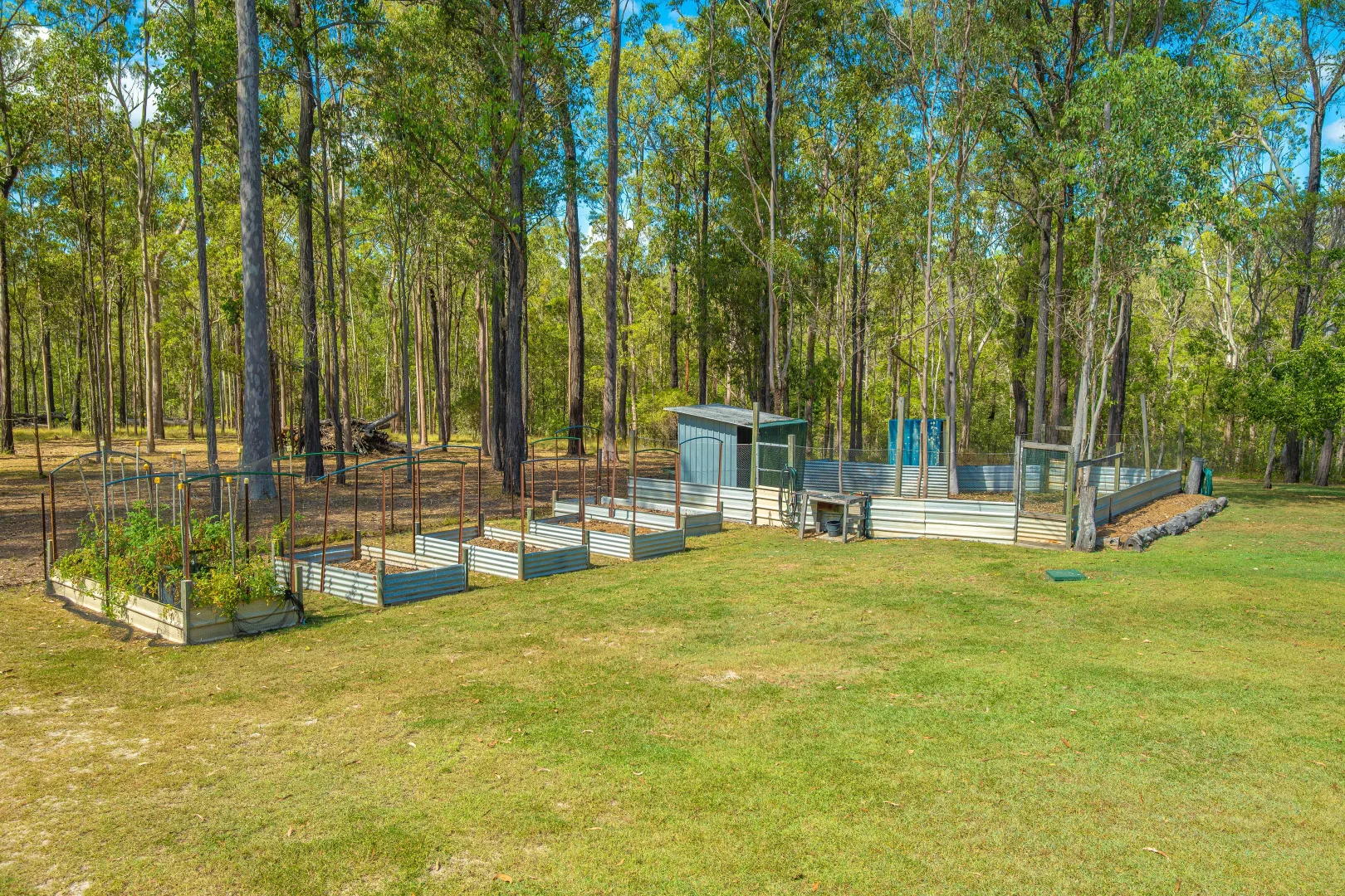 Additional image 25 of 73 Arborfourteen Road, Glenwood QLD 4570