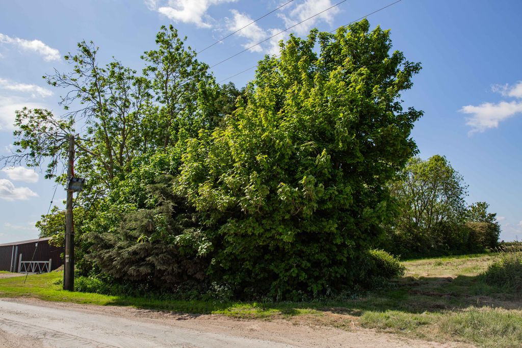 Additional image 2 of Land for saleMidgate Lane, Boston PE22