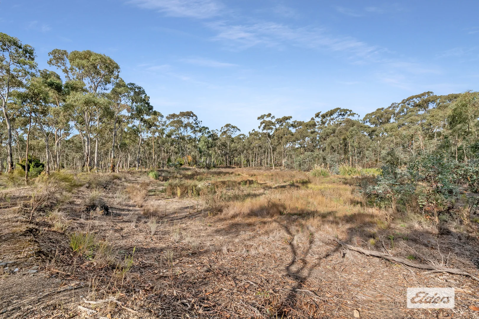 Additional image 3 of 16-20 Williams Road, Myers Flat VIC 3556