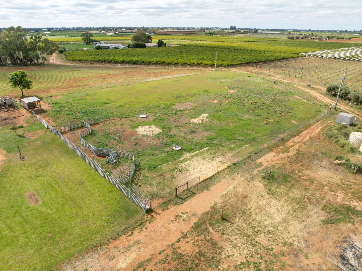 Additional image 30 of 254 Seventh Street, Merbein South VIC 3505