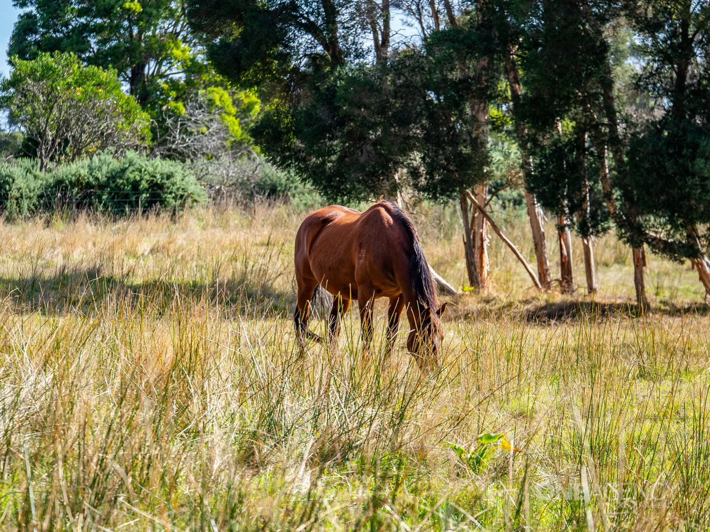 Additional image 26 of 48 Leesville Road, Smithton TAS 7330