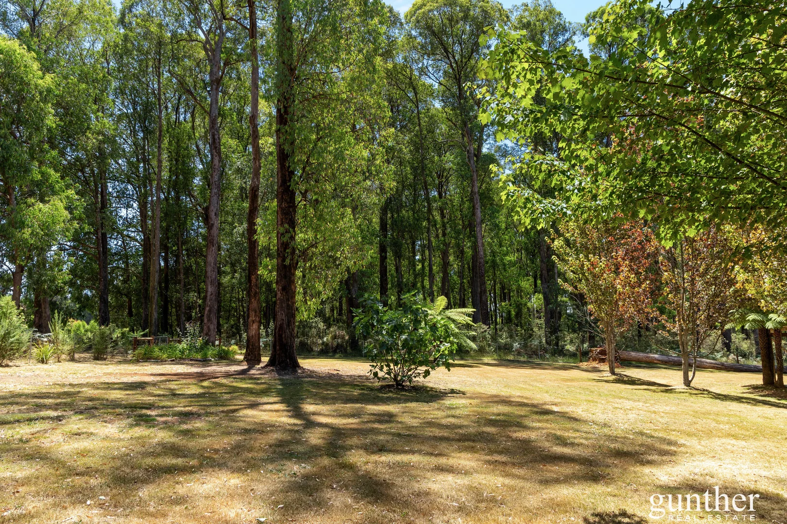 Additional image 16 of 150 Manby Road, Narbethong VIC 3778