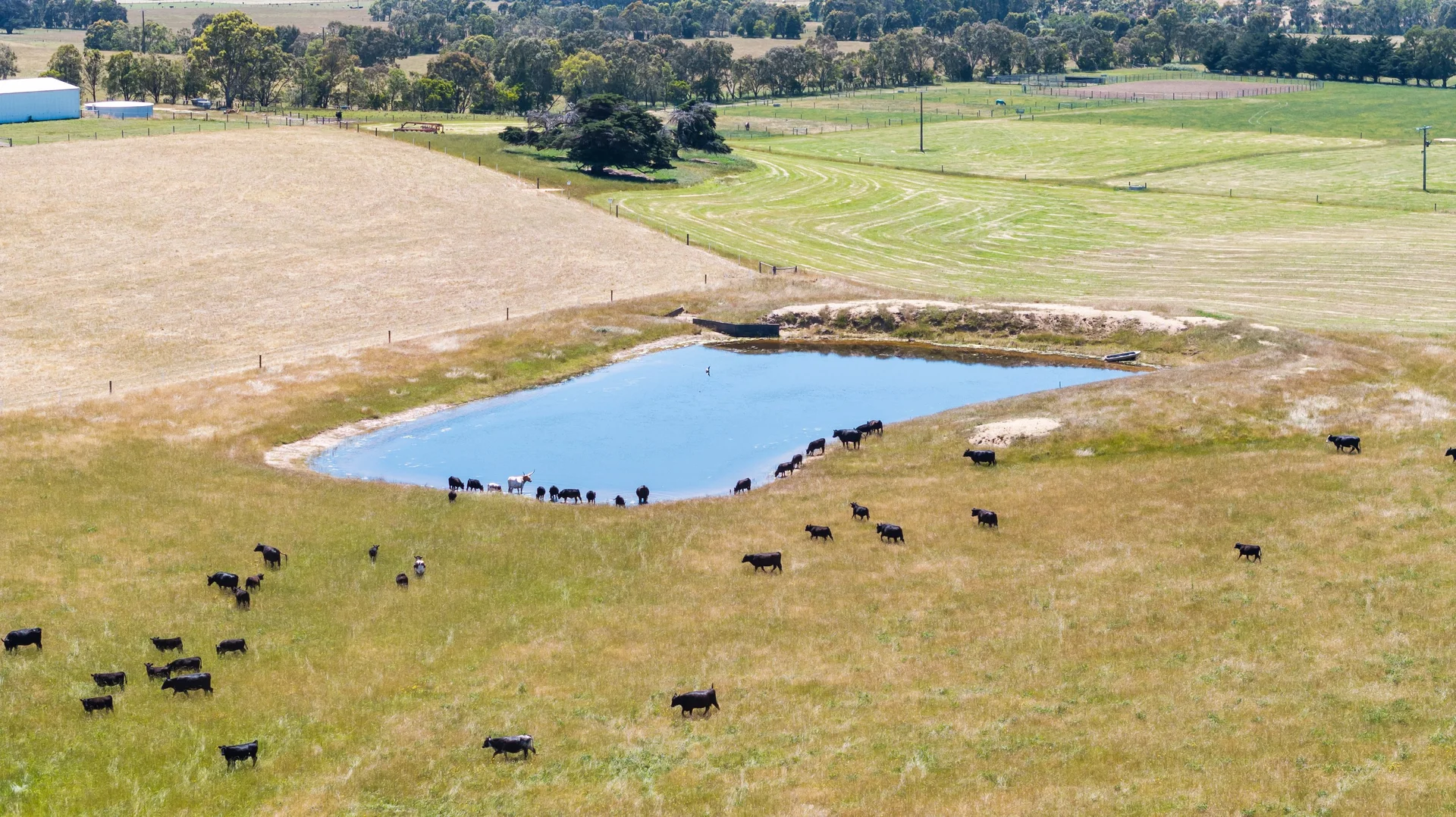 Additional image 40 of 101 Flynns Creek Road, Flynn VIC 3844