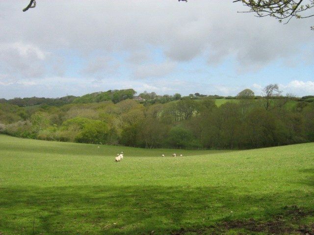 Additional image 5 of Land for saleHolford, Bridgwater, Somerset TA5