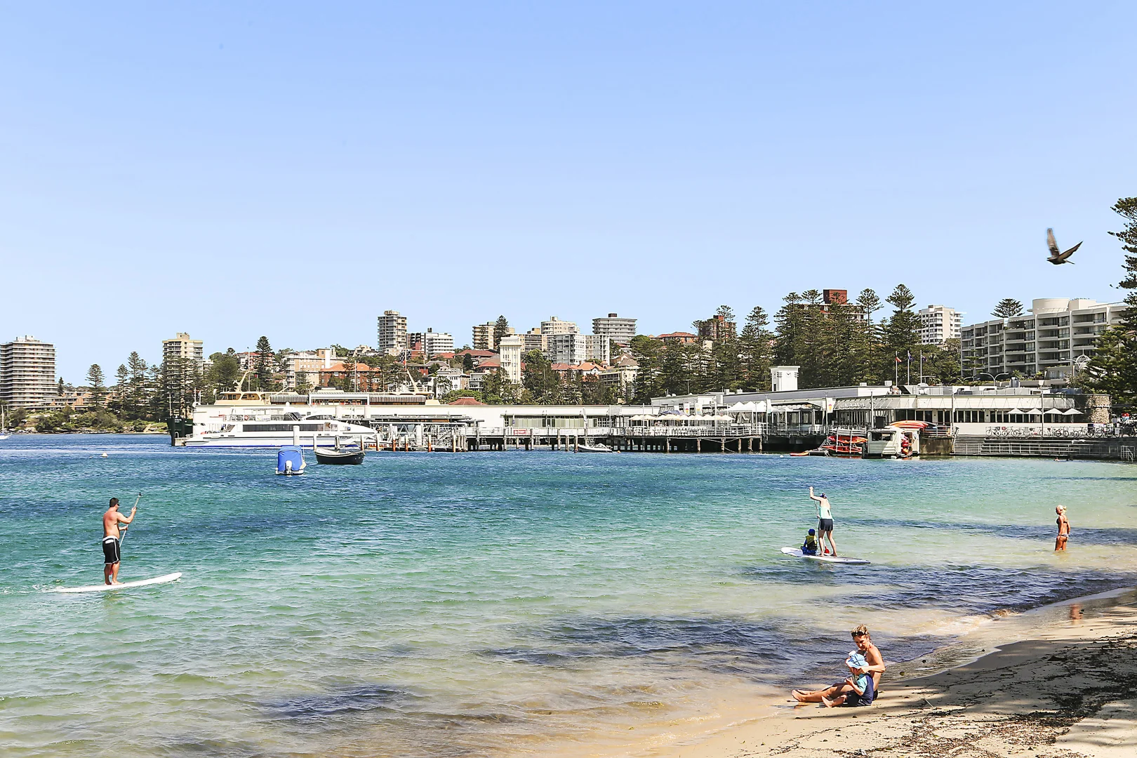 Additional image 12 of 307/21 Belgrave Street Aka 13 Whistler Street, Manly NSW 2095