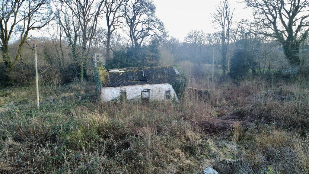 Additional image 22 of 2 bed farm for saleLlangeler, Llandysul SA44